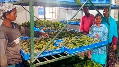 narayanpur Silk Mission