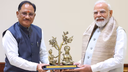 vishnu deo sai meet pm modi