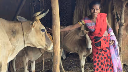 bastar integrated farming woman farmer success story