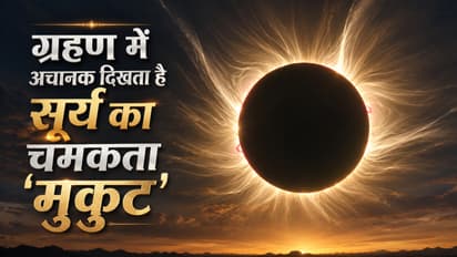 Solar Eclipse Corona