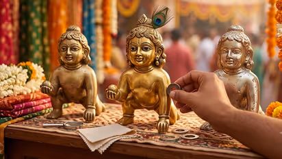 Laddu Gopal Buying Tips