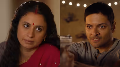 Mirzapur the movie boxoffice collection day 19