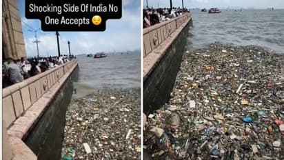 Bottles And Chips Packets Float Near Mumbai's Gateway Of India, Viral Video Sparks Civic Sense Debate