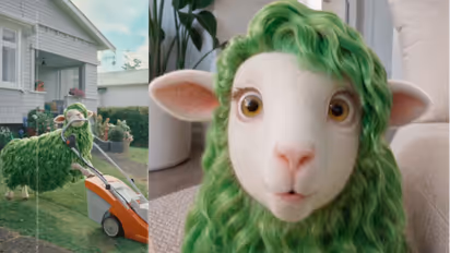 Kiwibank AI Sheep Buck