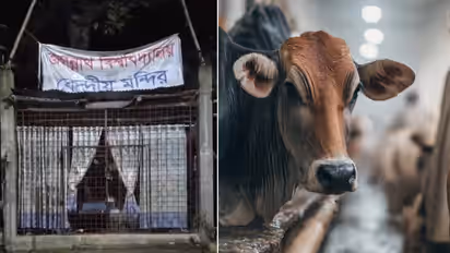 bangladesh jagannath university temple beef cooking cow slaughter controversy