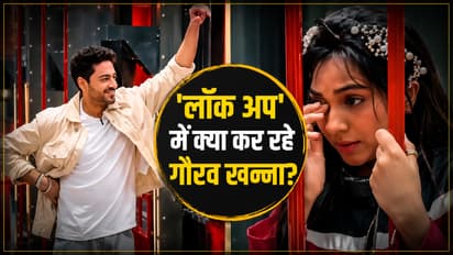 Gaurav Khanna Lock Upp 2 entry
