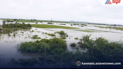 Bhima river water crisis Karnataka