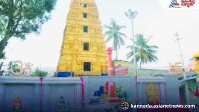 hassan Hasanamba darshan timings today