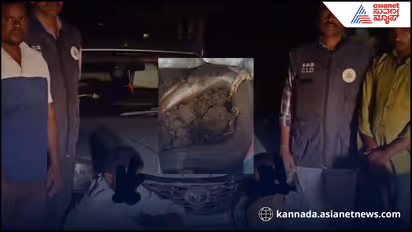 Illegal Python Smuggling in Chamarajanagar Two Arrested