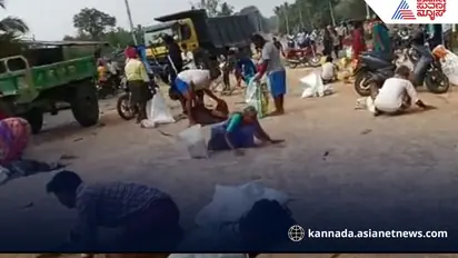 lorry accident in Sira Tumkur road People collecting spilled wheat