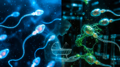 Pesticides Linked to Declining Male Fertility & Sperm Count