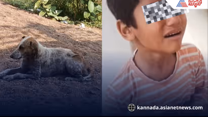 stray dog attack on boy in nidagundi town vijayapur