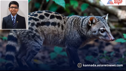 Malabar Civet Mystery Extinct or Alive?