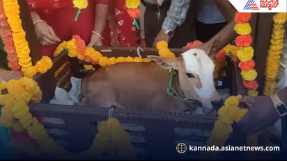 A family celebrated by naming baby cow in cradle in Kerimattihalli haveri