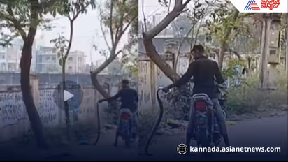 Viral Video Biker Dangerous Stunt Dragging 6 Foot Snake in Sindhanur Raichur