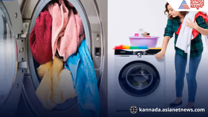 Washing Machine Guide Powder vs Liquid Detergent