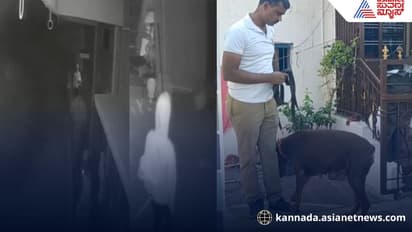 Monkey Cap Gang Targets Police Homes in Hungund Bagalkot Loot Captured on CCTV