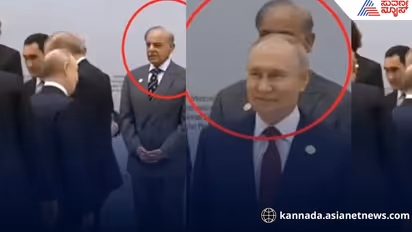 Viral Video: Shehbaz Sharif Rushes to Shake Hands with Putin After Being Ignored at SCO Summit