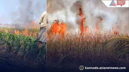 Massive Fire Destroys 40 Acres of Sugarcane in Haveri Due to Short Circuit