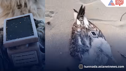 Is China spying by sending a seagull to Karwar?