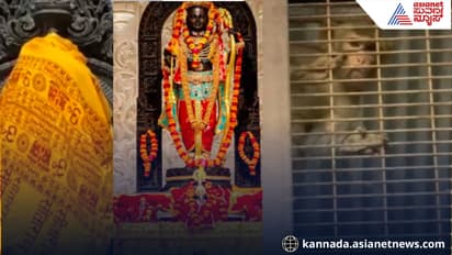 Ayodhya Ram Lalla Sculptor Arun Yogiraj Shares Emotional Clip of Monkey Devotion