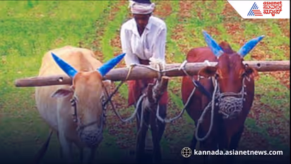 Special Agriculture Cabinet Proposed for Karnataka Planning Board Report