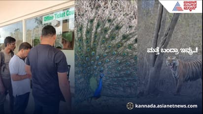 Bandipur safari restart details