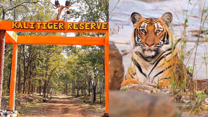 The Kali Tiger Reserve is now an ecologically sensitive area