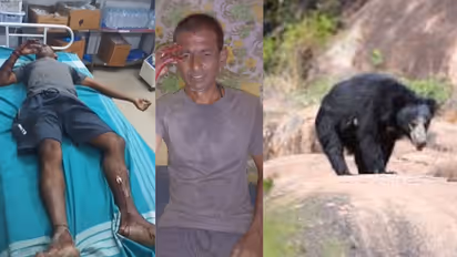 Vijayanagar farmer brutally attack by wild bear while working in field rav