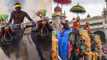 Farmer and Dalit organizations oppose the Kambala at the Mysore Dasara 2026