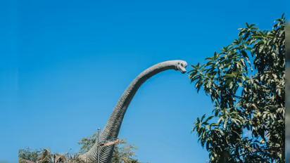 thailand discovers new long necked dinosaur species from the jurassic period fossil dates back 150 million years