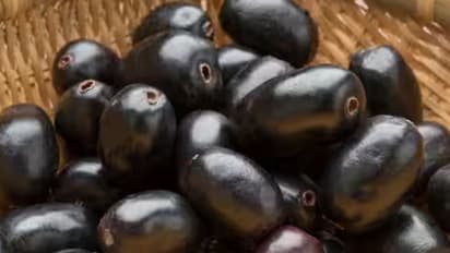 Can Jamun Fruit Really Help Control Diabetes