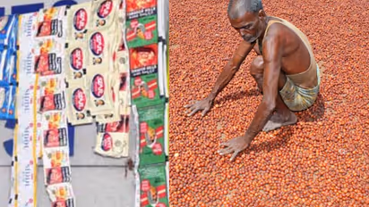 Complete ban on pan masala and gutkha in Karnataka Food Department order what impact on arecanut growers rav