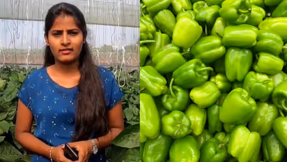 MBA Graduate Left Her Corporate Job To Start Capsicum Farming Earns Rs 4 Crore