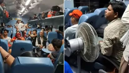 Instagram Viral Video