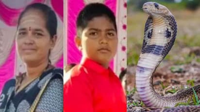 Raichur Snake Bite