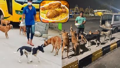 Bengaluru Street Dogs Chicken Biriyani
