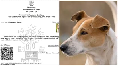 Dog Babu Gets a Residence Certificate in Bihar