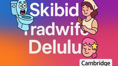Cambridge Dictionary 2025 goes Gen Z and Gen Alpha with words like ‘delulu’ and ‘skibidi’
