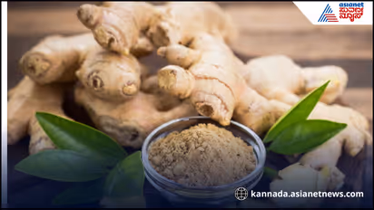 Benefits and Risks of Eating Ginger What You Need to Know