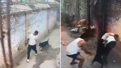 Viral Shahjahanpur Dog Attack Video Raises Questions Over Pet Safety Rules