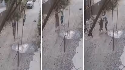 Maharashtra Crime Palghar Attack Video Woman Attacked With Sharp Weapon on Road CCTV Captures Horror