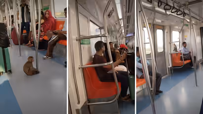 Delhi Metro Monkey Video Goes Viral Sits on Woman Lap After Commuters Remain Unfazed Calmly React Without Panic