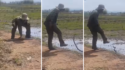 Viral Snake Video Man Risky Encounter With Snake Goes Viral Sparks Debate Online