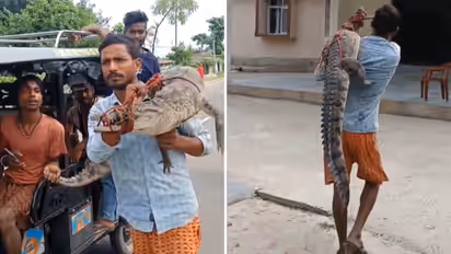 Bihar crocodile video Farmer carries 5 foot crocodile through village to police station after rescue from field