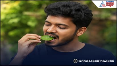 Guava leaves benefits