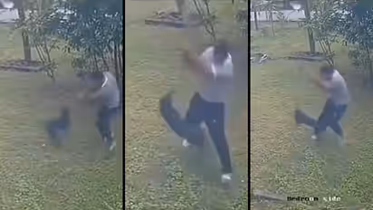 'Cricket Shot Or Attack' Man's Unusual Way Of Shooing Away Barking Dog Sparks Laughter And Debate