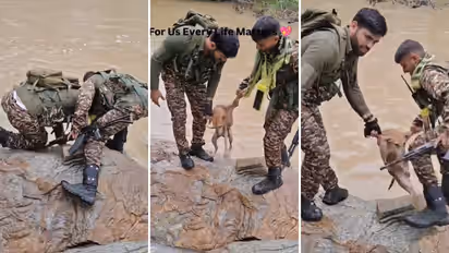 Bright Side Stories CRPF Jawans Rescue Dog From Fast Flowing Canal Video Goes Viral
