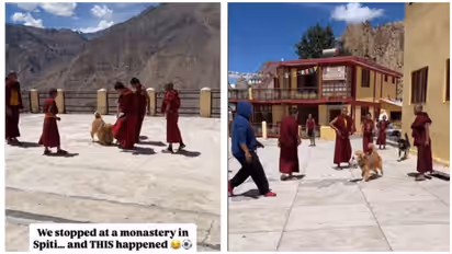 Golden retriever joins football match with monks in Spiti, adorable video viral