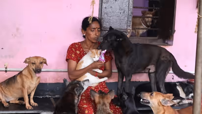Mangaluru Woman Feeds 800 Stray Dogs Every Day Has Spent 25 Years Saving Animals